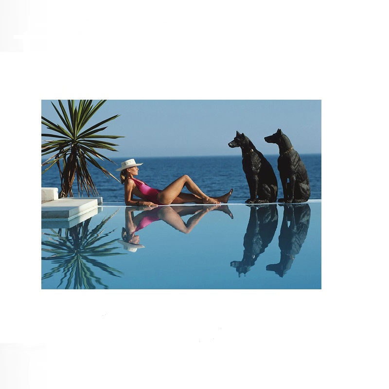 Retro Poolside Host Luxury Lif – Luxury Lifestyle Pictures Bewertung und Preis
